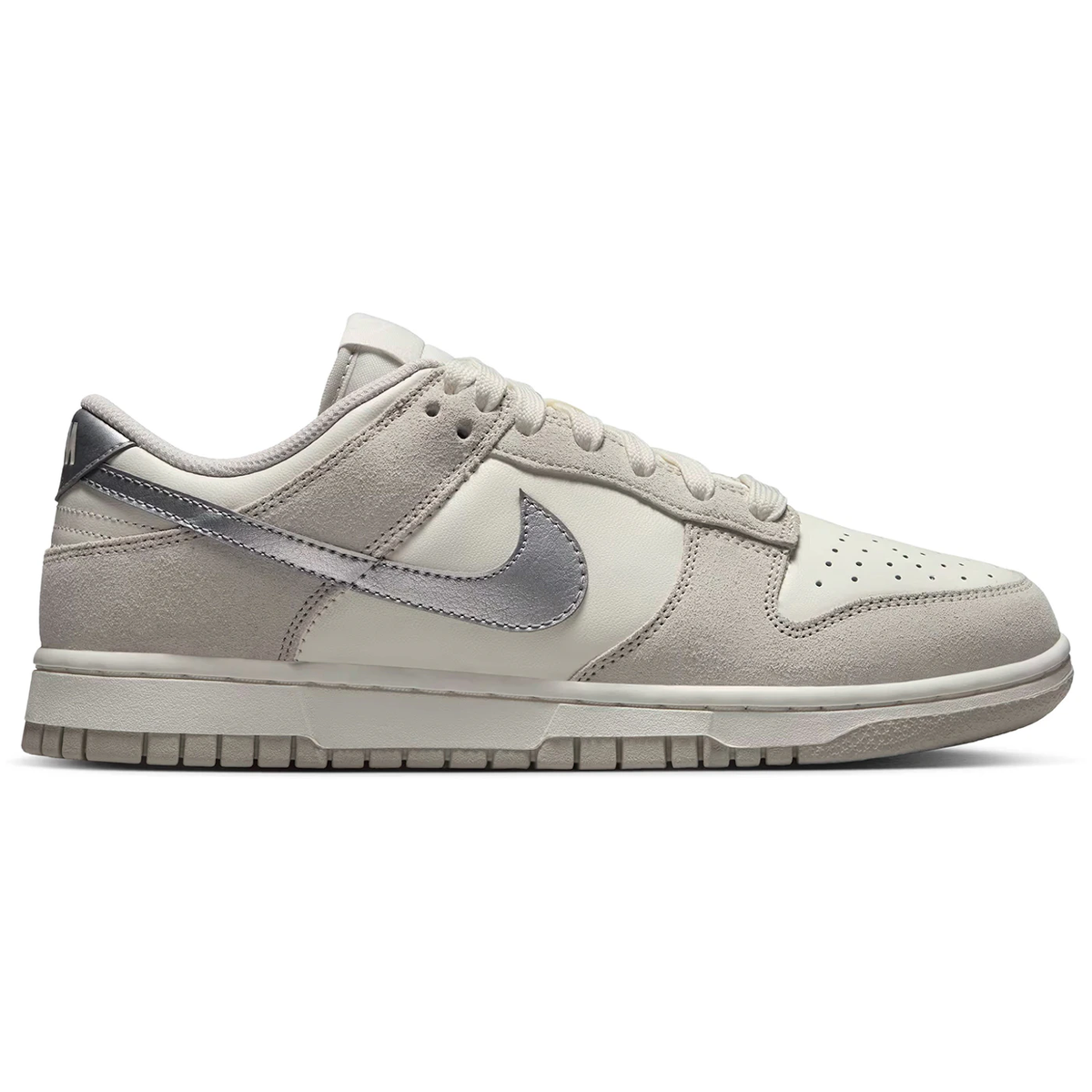 Nike Dunk Low Silver Swoosh 